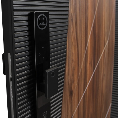 Стальная дверь   Сапсан (биометрический замок Smart lock Y12)