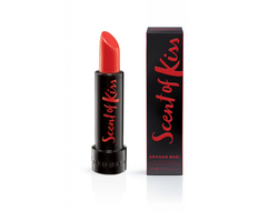 Аромат Armand Basi Scent Of Kiss