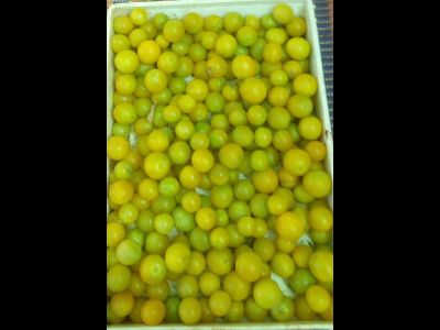 Томат Зеленый виноград (Green Grape)