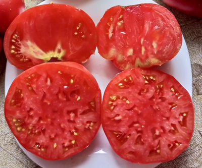 Томат Подземная железная дорога тётушки Лу (Aunt Lou’s Underground Railroad)