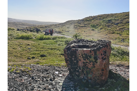 Муста-тунтури