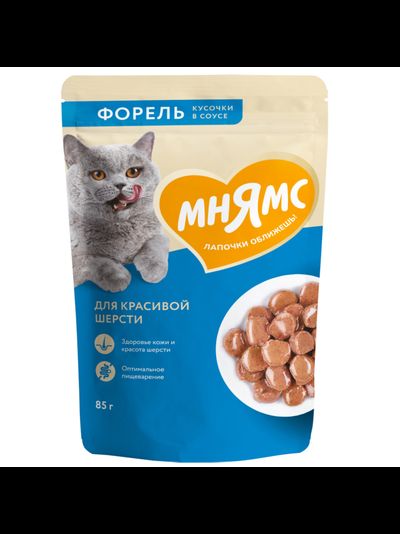 Мнямс влажный корм (пауч) для красивой шерсти у кошек, кусочки в соусе с форелью 85 г