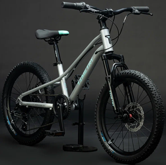 Велосипед TT277/ 7скоростей 20" Серебряный рама 10,5"