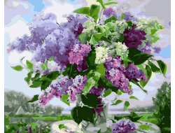 &ETH;&ETH;&deg;&Ntilde;&Ntilde;&ETH;&cedil;&ETH;&frac12;&ETH;&deg; &ETH;&iquest;&ETH;&frac34; &ETH;&frac12;&ETH;&frac34;&ETH;&frac14;&ETH;&micro;&Ntilde;&ETH;&deg;&ETH;&frac14; GX 23277 &ETH;&ETH;&micro;&Ntilde;&ETH;&micro;&ETH;&sup2;&ETH;&micro;&ETH;&frac12;&Ntilde;&ETH;&ordm;&ETH;&deg;&Ntilde; &Ntilde;&ETH;&cedil;&Ntilde;&ETH;&micro;&ETH;&frac12;&Ntilde; 40*50