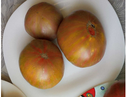 Томат Мятные полосы (Dwarf Peppermint Stripes)