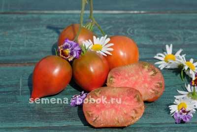 Томат Сердце Линнея (Linnaeus Heart), 10 шт