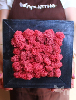 ЖИВАЯ ЭКО-КАРТИНА 1089