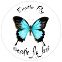 Студия особенных букетов "Ферма бабочек" EXOTIC FLY KRSK"