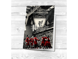 Обложка на паспорт Ливерпуль, Liverpool FC №7
