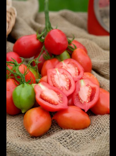 Томат Новинка Приднестровья, 10 шт