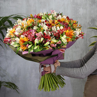 БУКЕТ ГИГАНТ 101 стойкая альстромерия микс