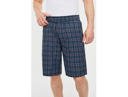 Мужские спортивные шорты   916, бирюзовая средняя клетка