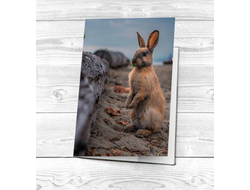 Картхолдер год Кролика №6