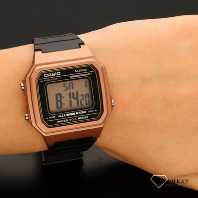 Часы Casio W-217HM-5A
