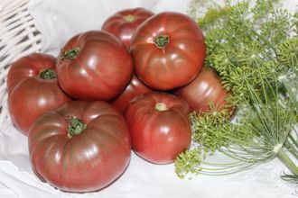 Коралловый черный крупный