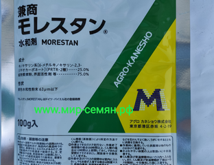 Морестан (Morestan)
