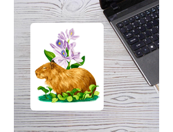 Коврик для мышки вертикальный Капибара, Kapibara-san №39