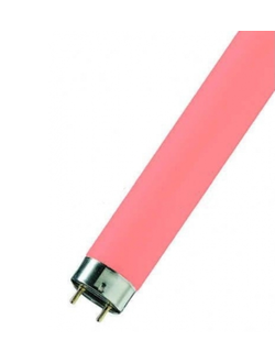 Цветная люминесцентная лампа Narva FluoreScent Lamp LT36w/014 Pink G13