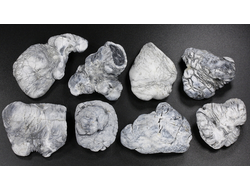 Кахолонг (Опал), желвак цельный в ассортименте, Оренбургская обл. (30-40 мм, 15-20 г) №29430