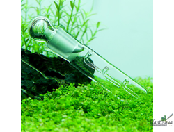 Ловушка для планарий стеклянная