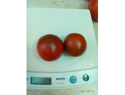 Томат Словенский черный  (Slovenian Black) США