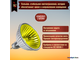 Muller Licht HLRG-550F/Gelb EXN/C 50w 36° 12v GU5.3