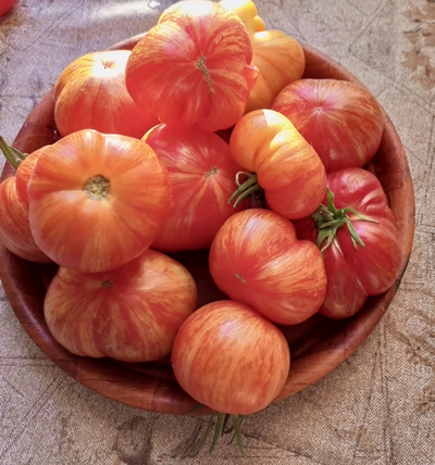 Томат Джаз восхода (Sunrise Jazz, Джаз на Восходе)