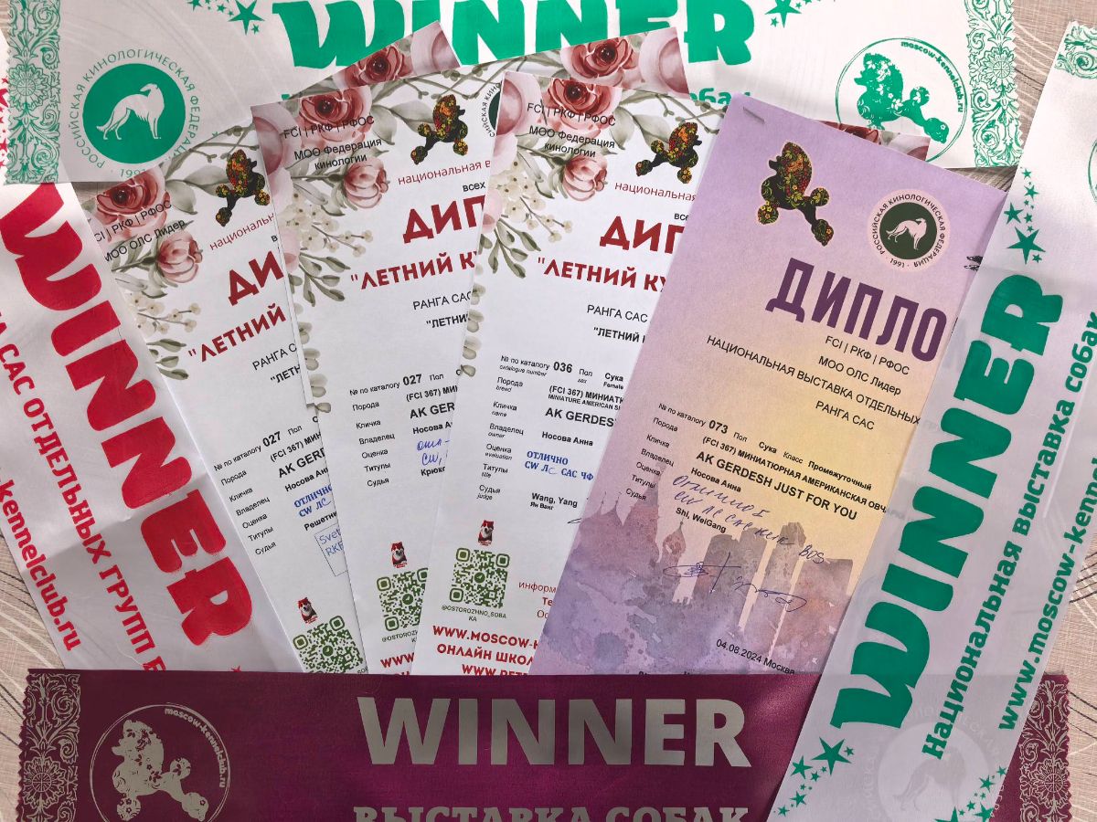 Юта - Чемпион России