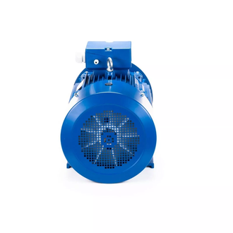 Электродвигатель АИС 160L4 (15 кВт) IM B35