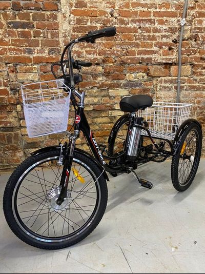 Электровелосипед трехколесный Etoro Turino Disc 350