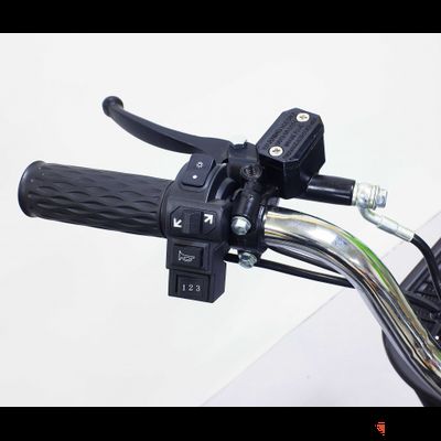 Электровелосипед GreenCamel Транк-18 (R18 350W 48V) 10Ah