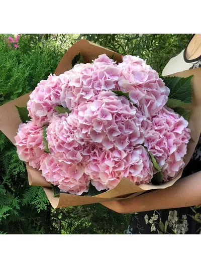 11 голубых гортензий в крафте