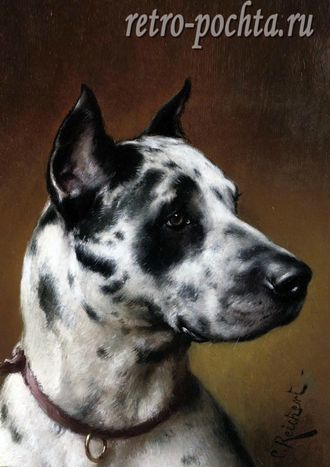 КАРЛ РАЙХЕРТ 4426