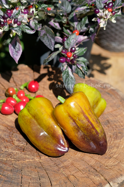 Перец сладкий Синильга, 10 шт