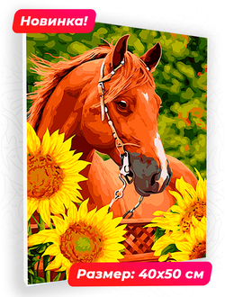 Картина по номерам 40х50 N 00112 Каштановый конь