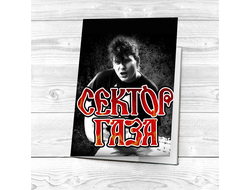 Обложка Сектор Газа, Юрий Хой на паспорт №10