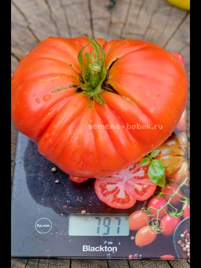 Томат Ивунтянский Великан, 10 шт