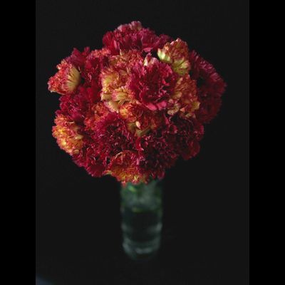 Гвоздика 15 шт