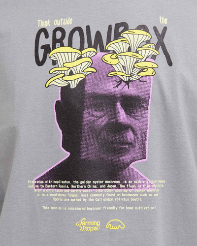 Футболка Оверсайз Anteater Tee 322 Серая