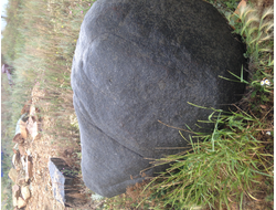 Валун габро