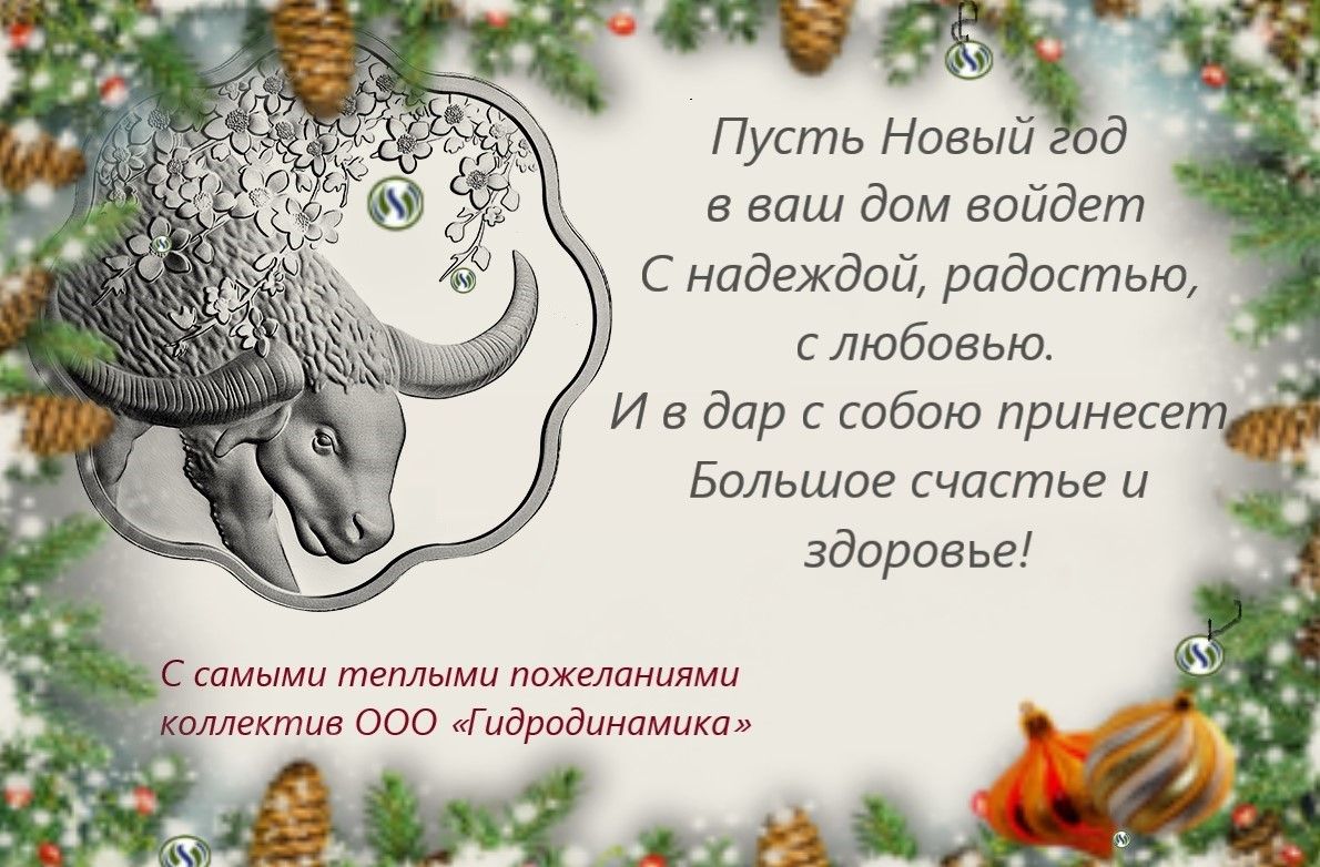 Поздравляем с наступающим 2021 годом клиентов, друзей и партнеров ООО "Гидродинамика"