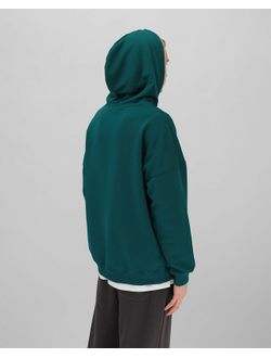 Толстовка с капюшоном Anteater Hoodie Corsair