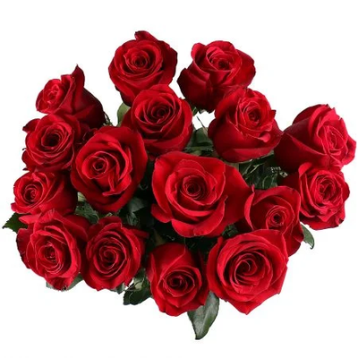 Букет из 15 голландских роз 100 см