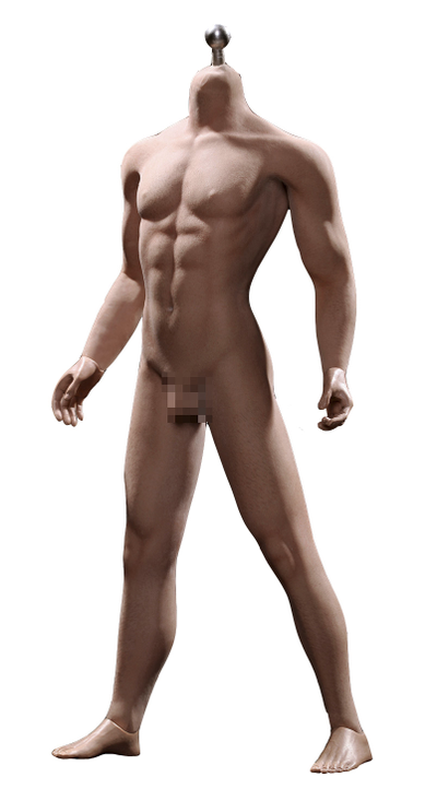 Супер-подвижное бесшовное мужское тело PL2016-M31  1/6 Super flexible Male Seamless Body - PHICEN