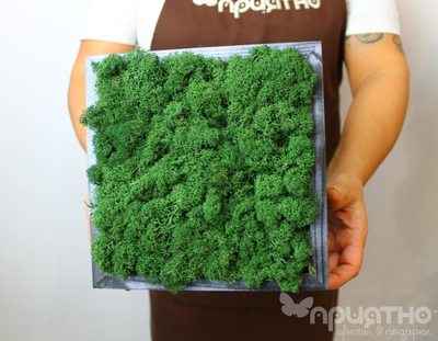 ЖИВАЯ ЭКО-КАРТИНА 1065