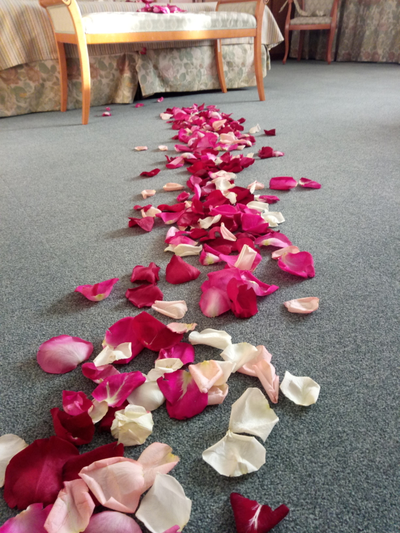 Оформление номера лепестками роз № 1492