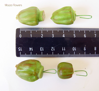 "Бутоны георгина" Силиконовый молд