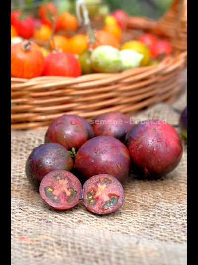 Томат Dwarf Gondwana Lava (Гном Гондвана Лава), 10 шт