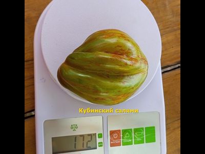 Томат Кубинский салями (Cuban Salami)