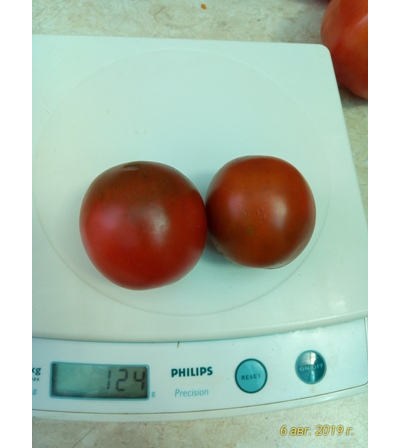 Томат Словенский черный  (Slovenian Black) США